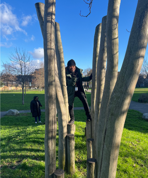 Someone is climbing on trees outside in a green park