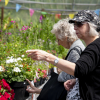 Looking at the flowers