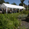 Share garden party gazebo