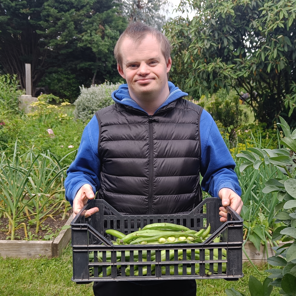 A man stands in a luscious garden holding a large tray of recently harvested vegetables