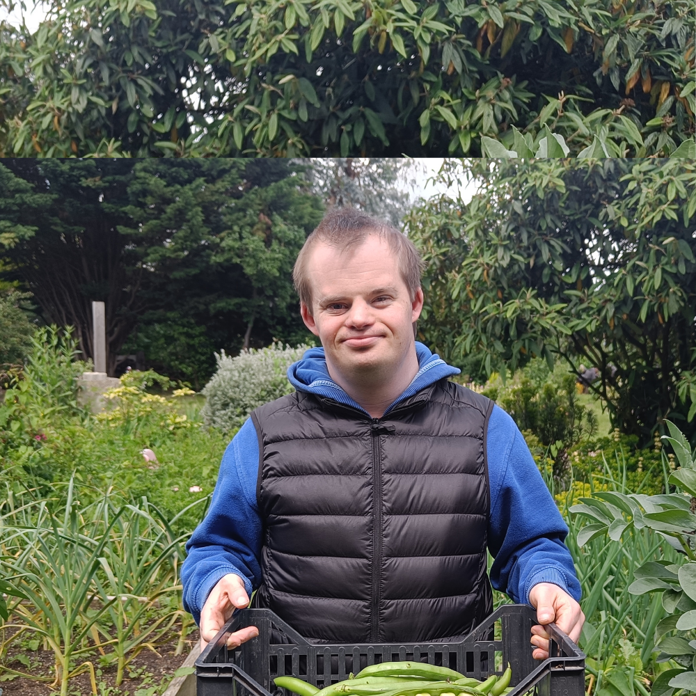 A man stands in a luscious garden holding a large tray of recently harvested vegetables