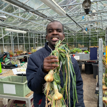 A man stands in a glasshouse holding some onions he's just harvested