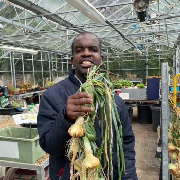 A man stands in a glasshouse holding some onions he's just harvested